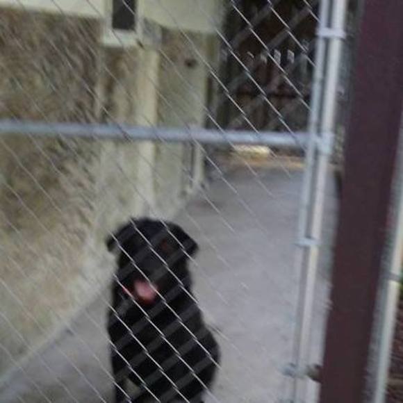 Meet your Posher, James - Picture 1 of 1